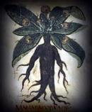 Mandragora